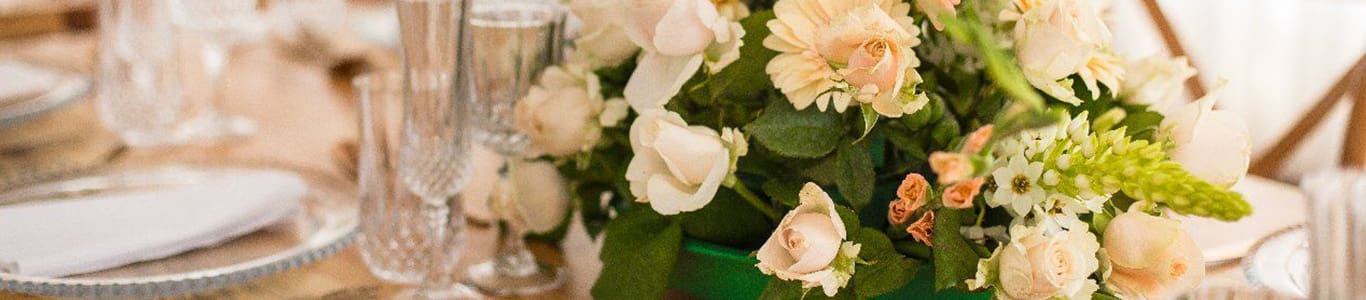 The Cupule Wedding Venue