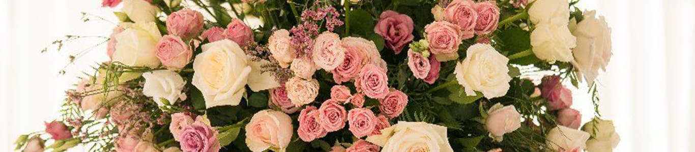 The Cupule Wedding Venue
