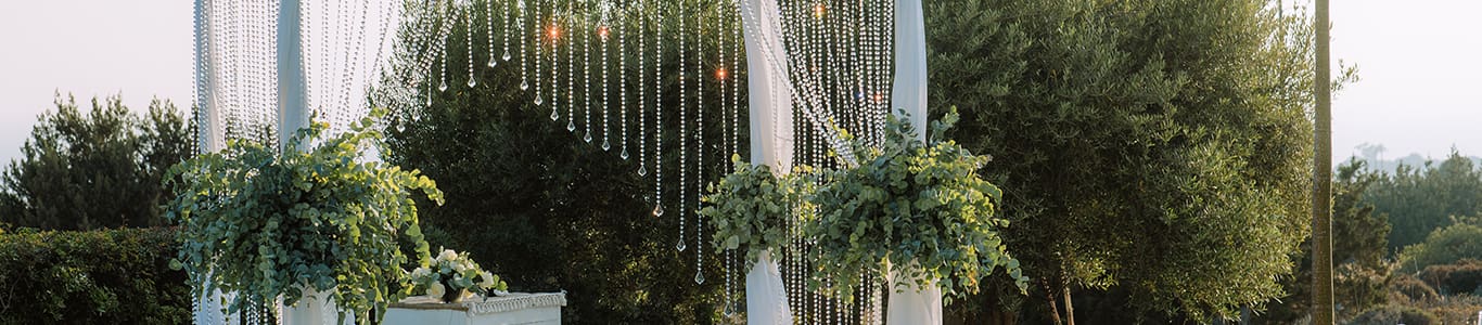 The Cupule Wedding Venue