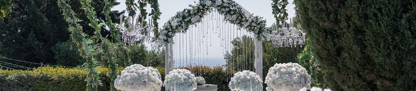 The Cupule Wedding Venue