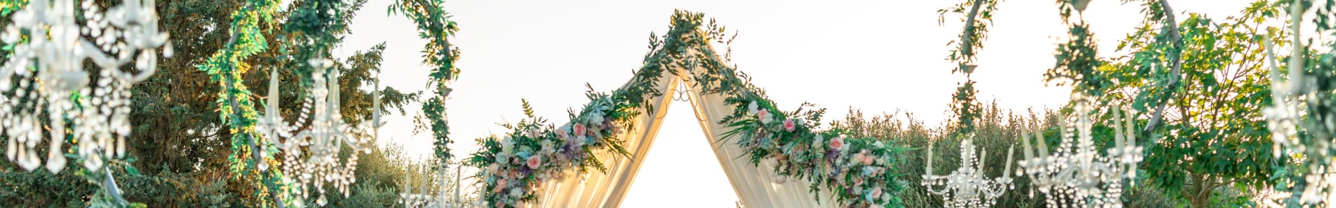 The Cupule Wedding Venue